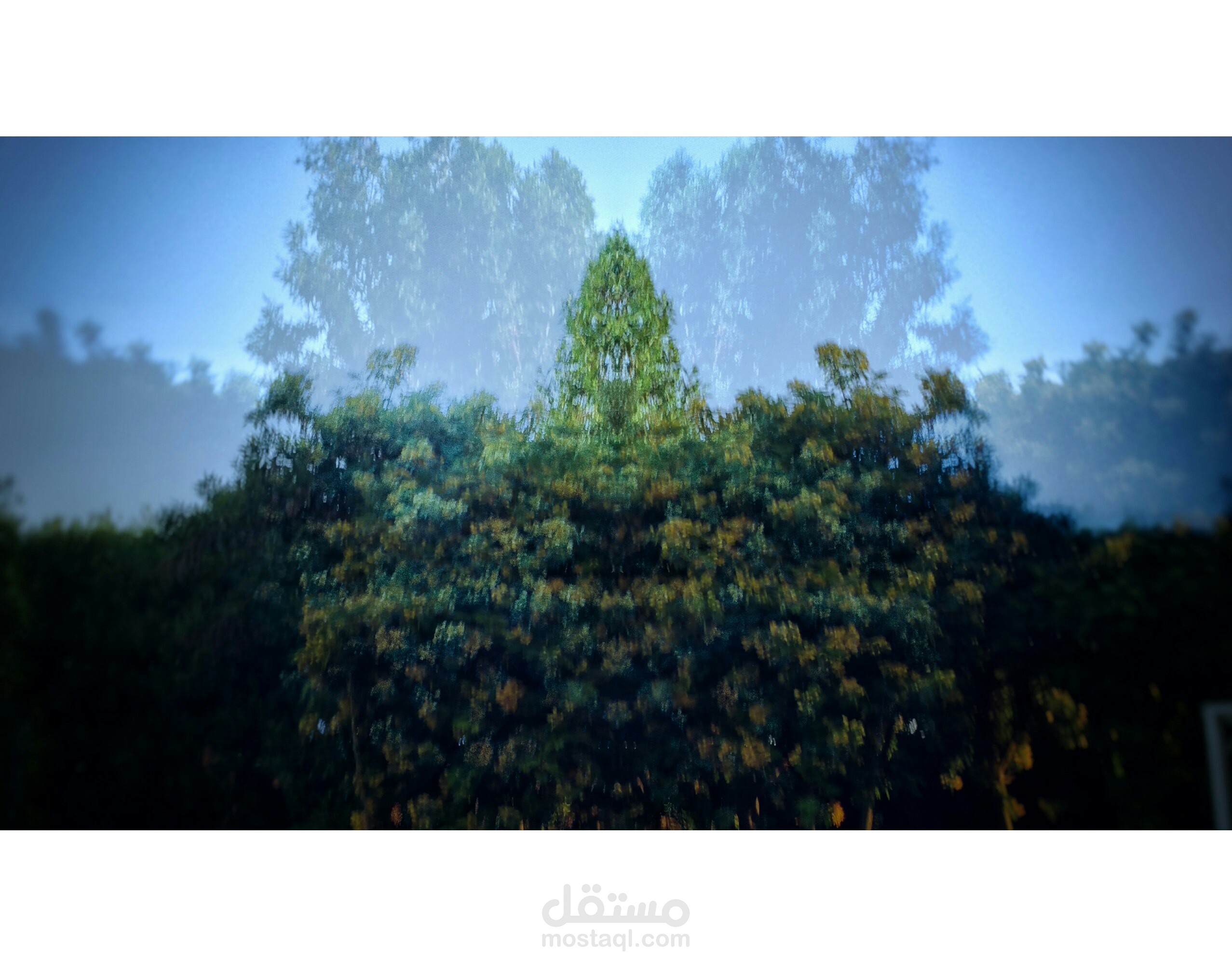 التصوير و تعديل