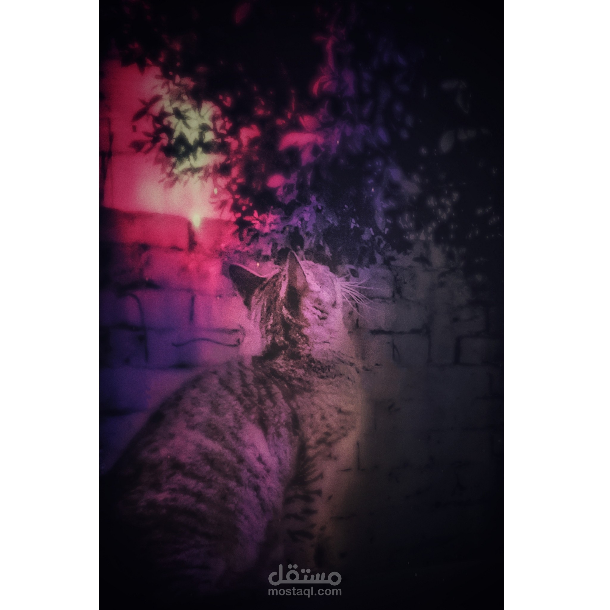 تعديل الصور