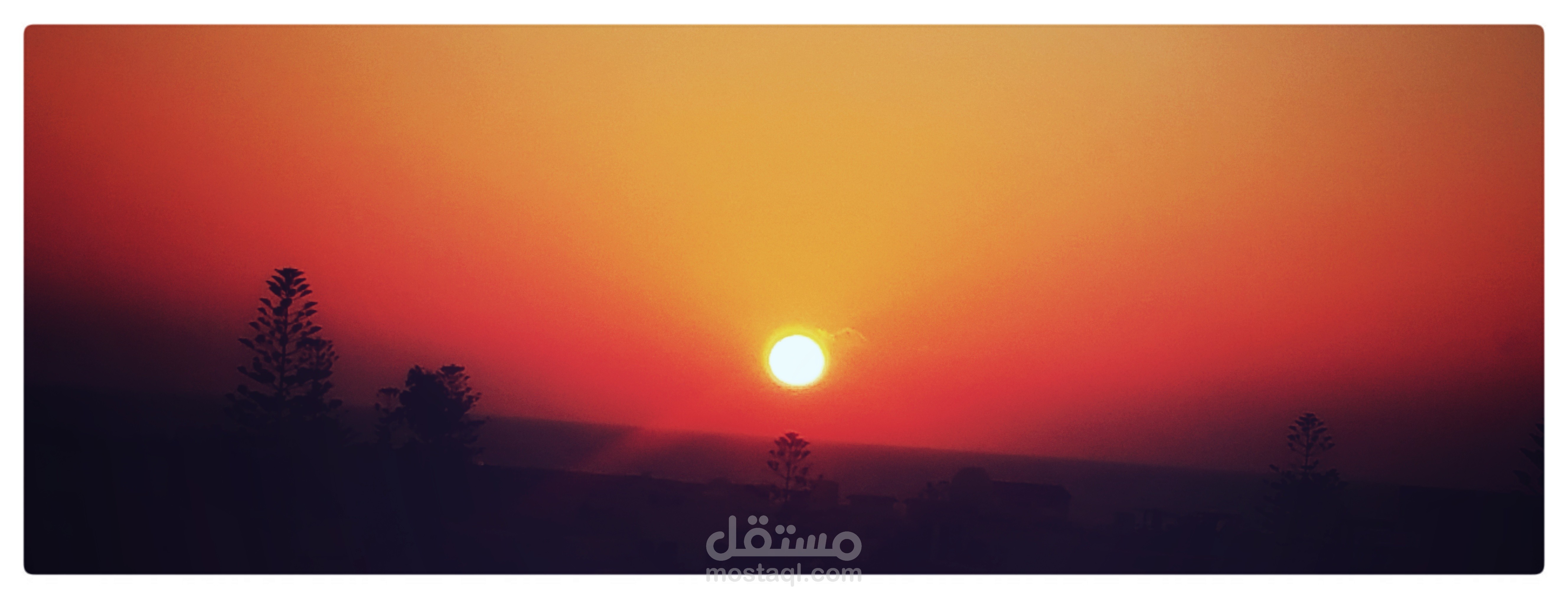 التصوير