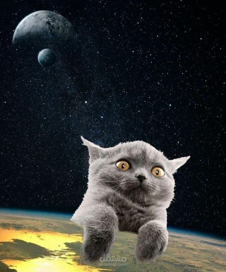 تعديل الصور