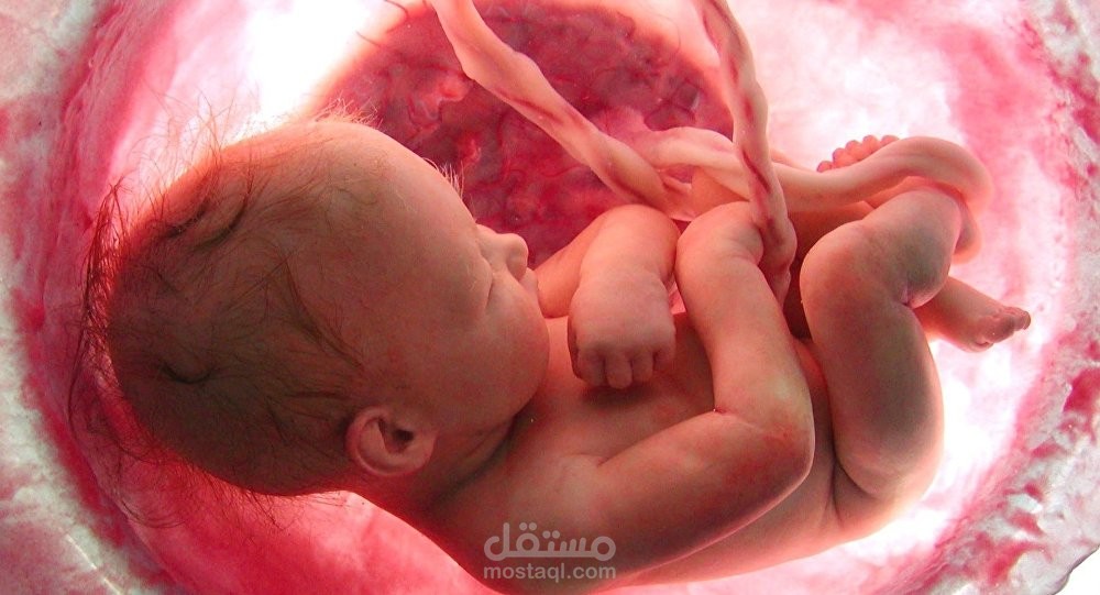 أسباب موت الجنين في الثلث الثاني من الحمل