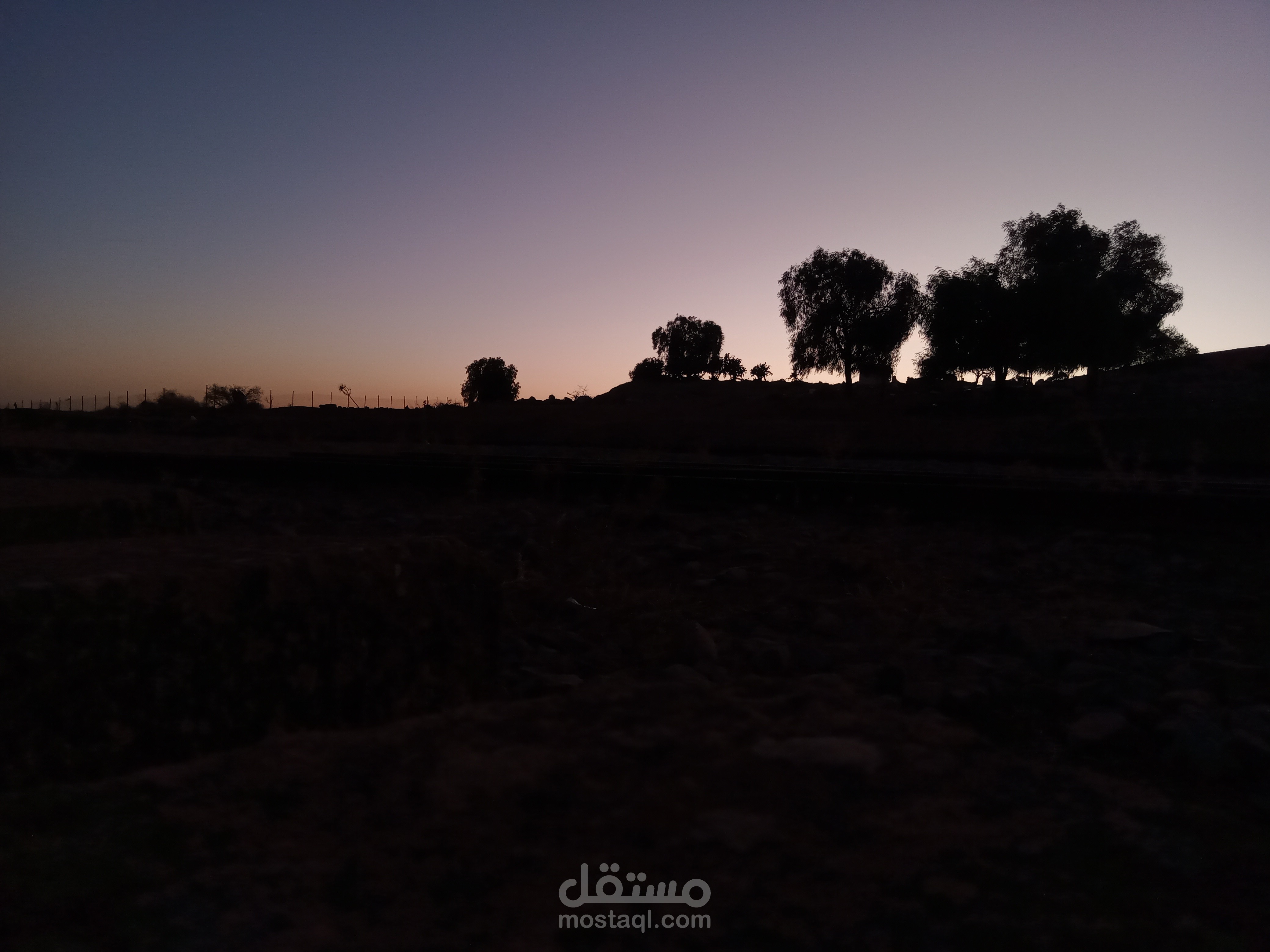 التصوير
