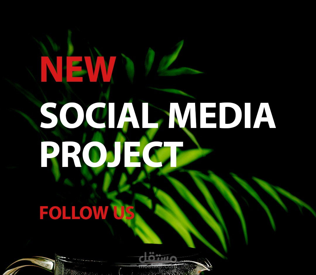 Diverse social media projects