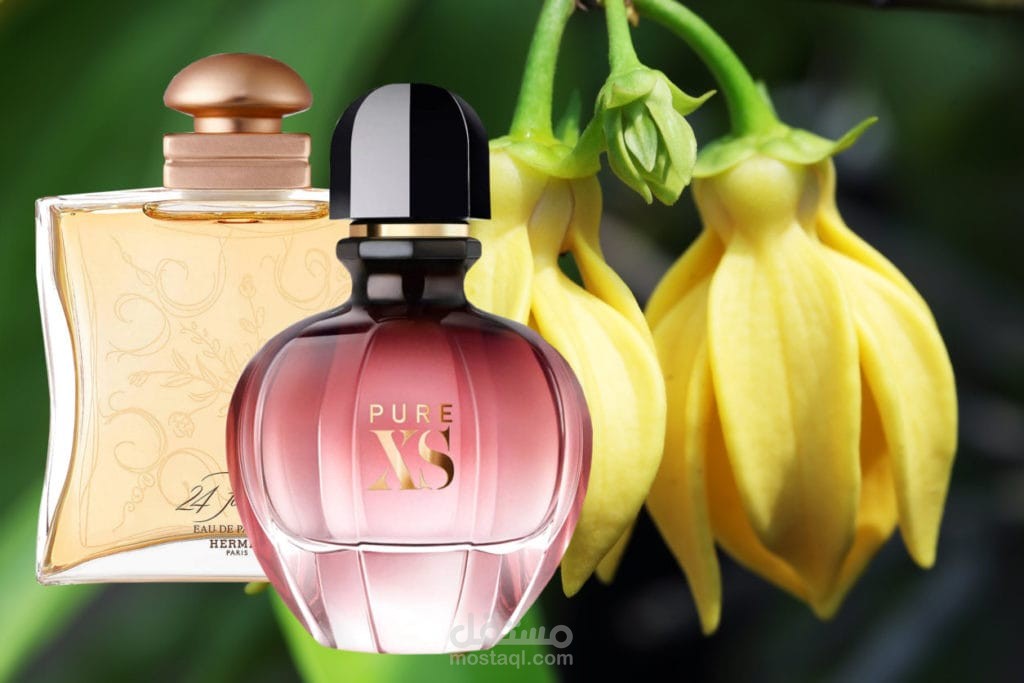 Ylang Fragrances for women