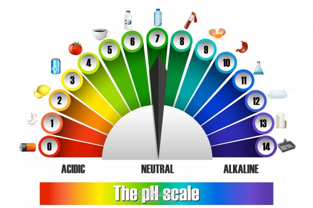 عرض بوربوينت جذاب عن PH Scale