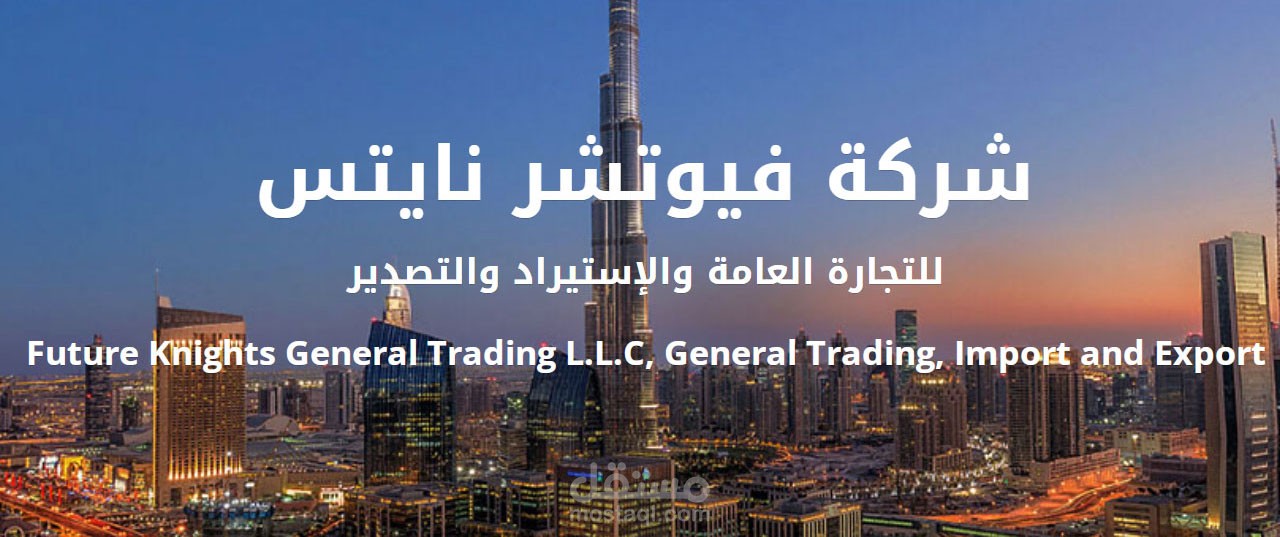 تصميم موقع futureknights  شركة فيوتشر نايتس