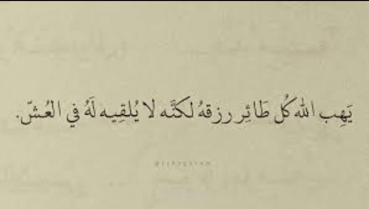 الفرق بين التوكل والتواكل