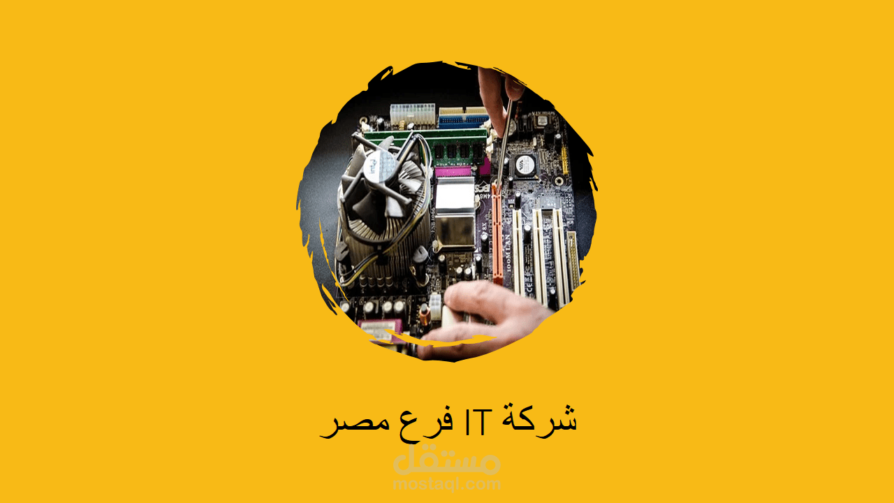 فرع لشركة IT  في مصر