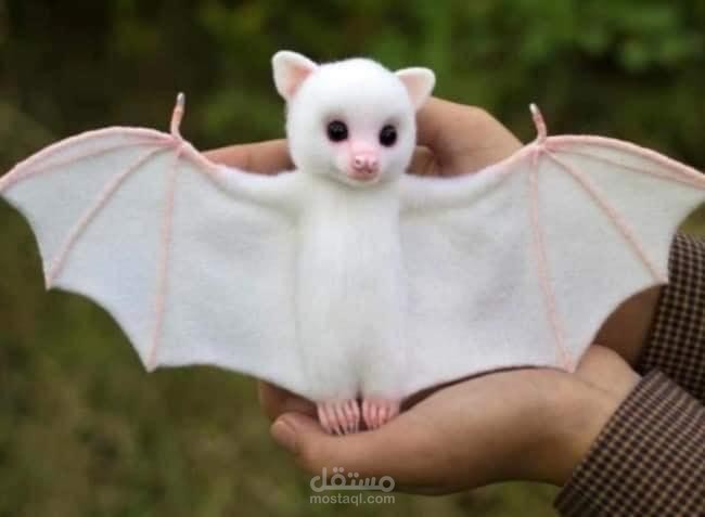 وثائقي قصير / مدهــش !!  قد تغير هذه الخفافيش اللطيفة نظرتك لهذا الكائن المضطهد " صغار خفافيش هندوراس الأبيض