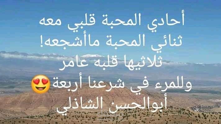 كتابة أشعار والمقالات