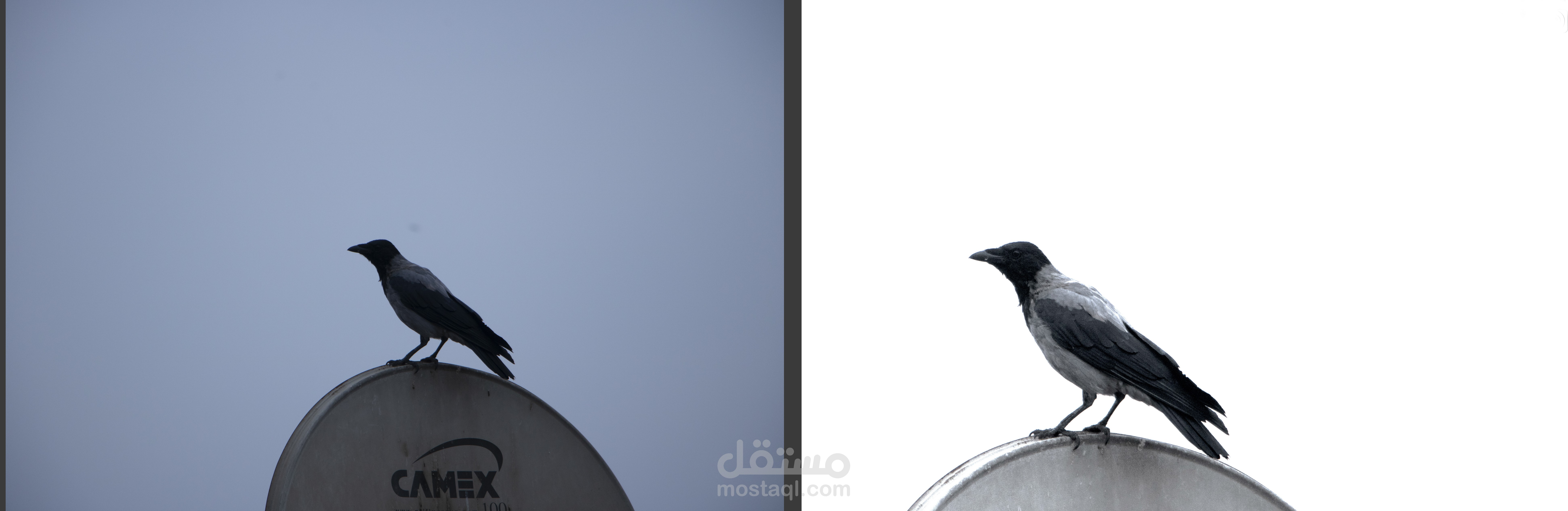 تعديل الخلفية والالوان