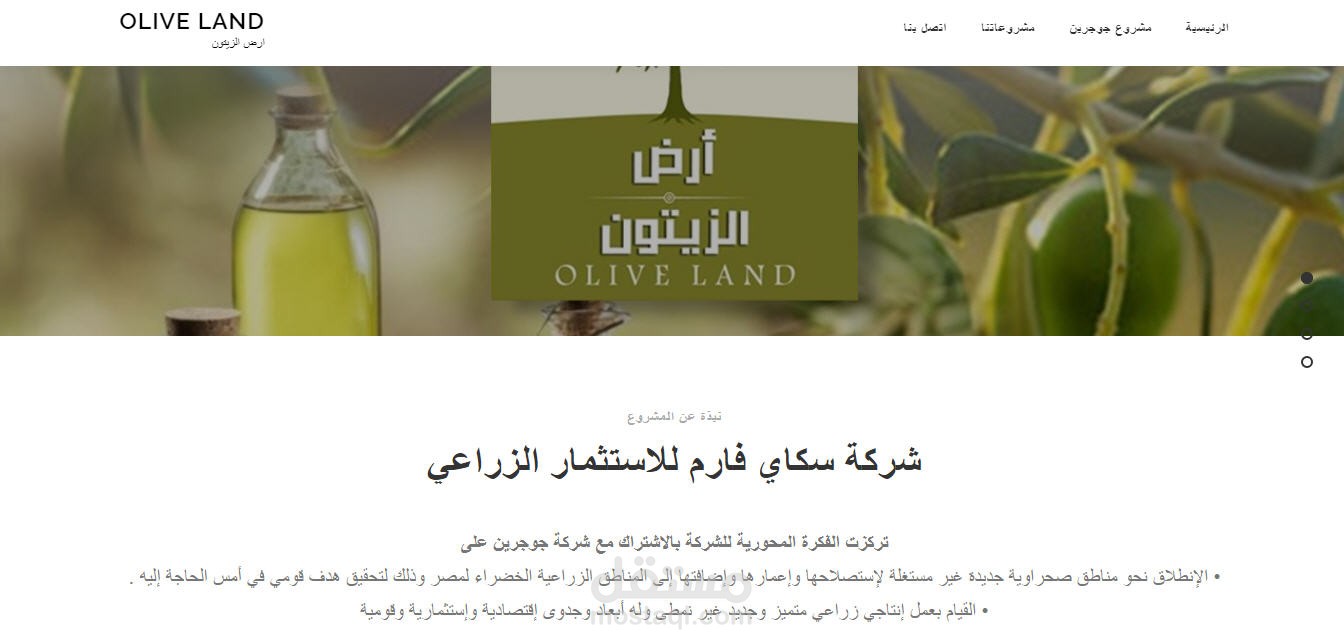 تصميم موقع لشركة olive land