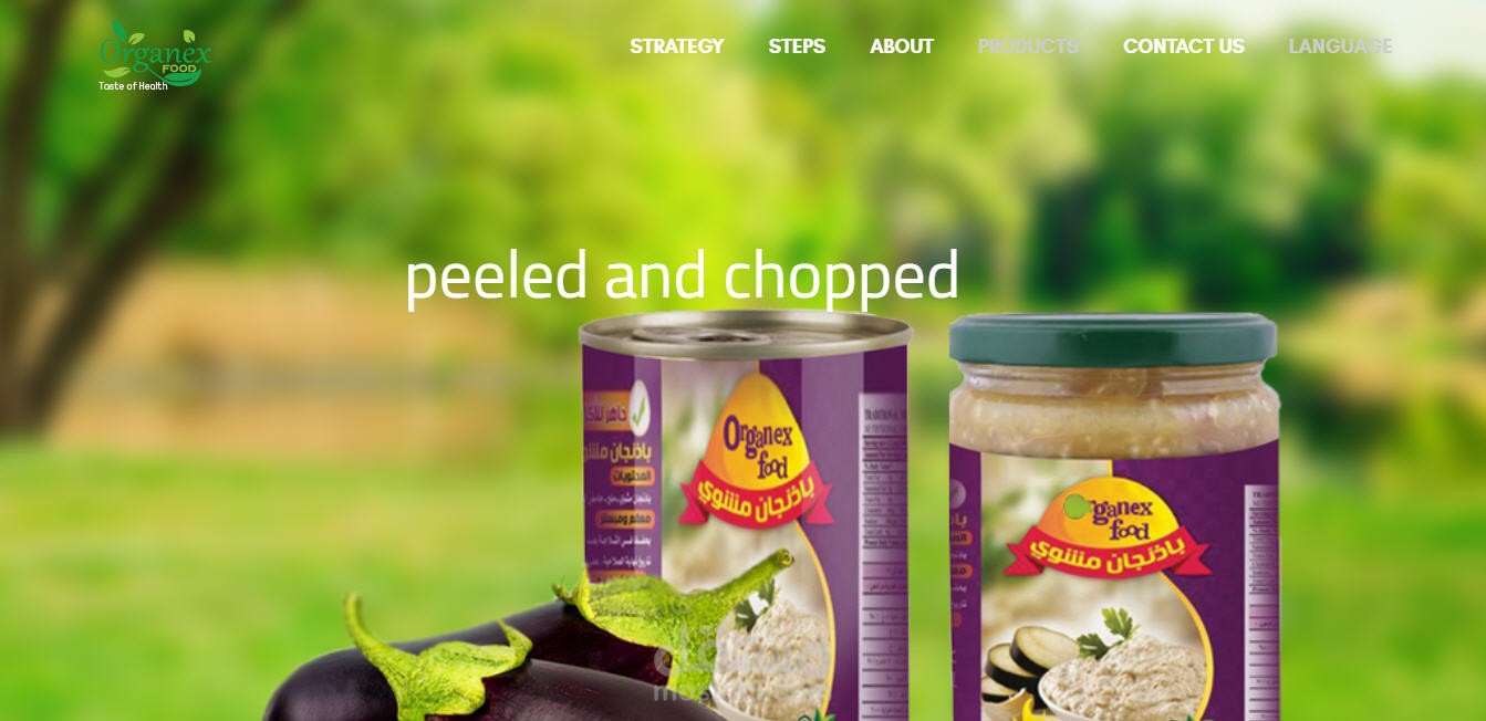تصميم موقع لشركة organexfood