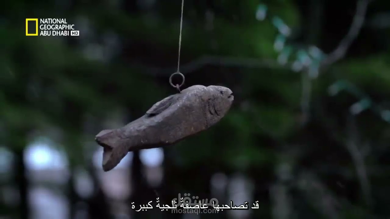 Arabic subtitling