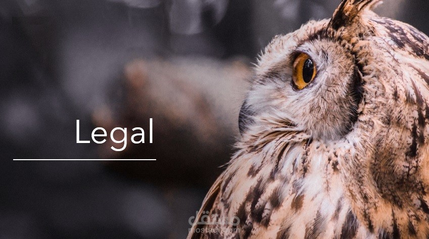 Legal Translation