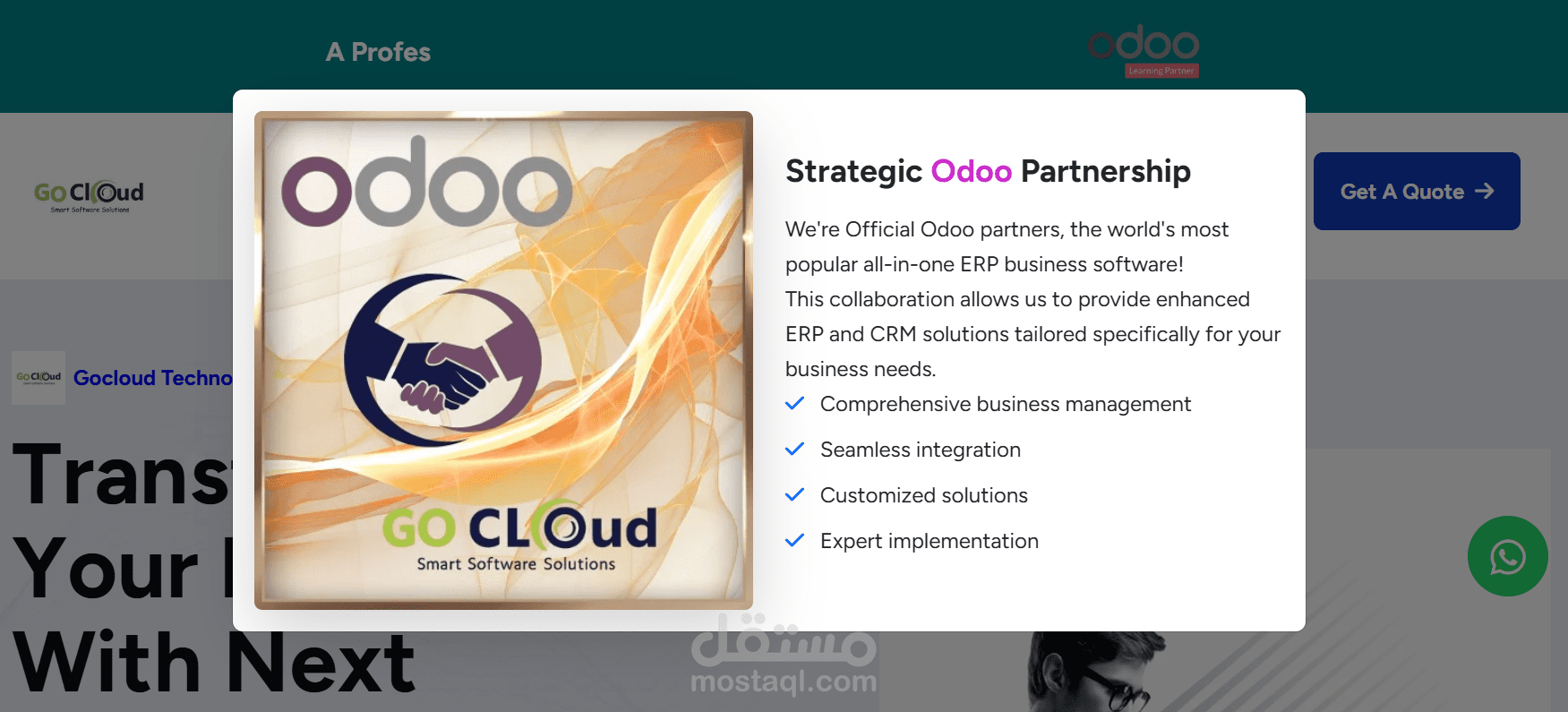 business software solution portfolio