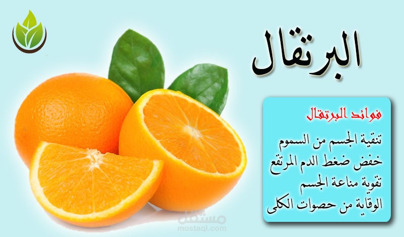 صورة دعائية لشركة توزيع خضار