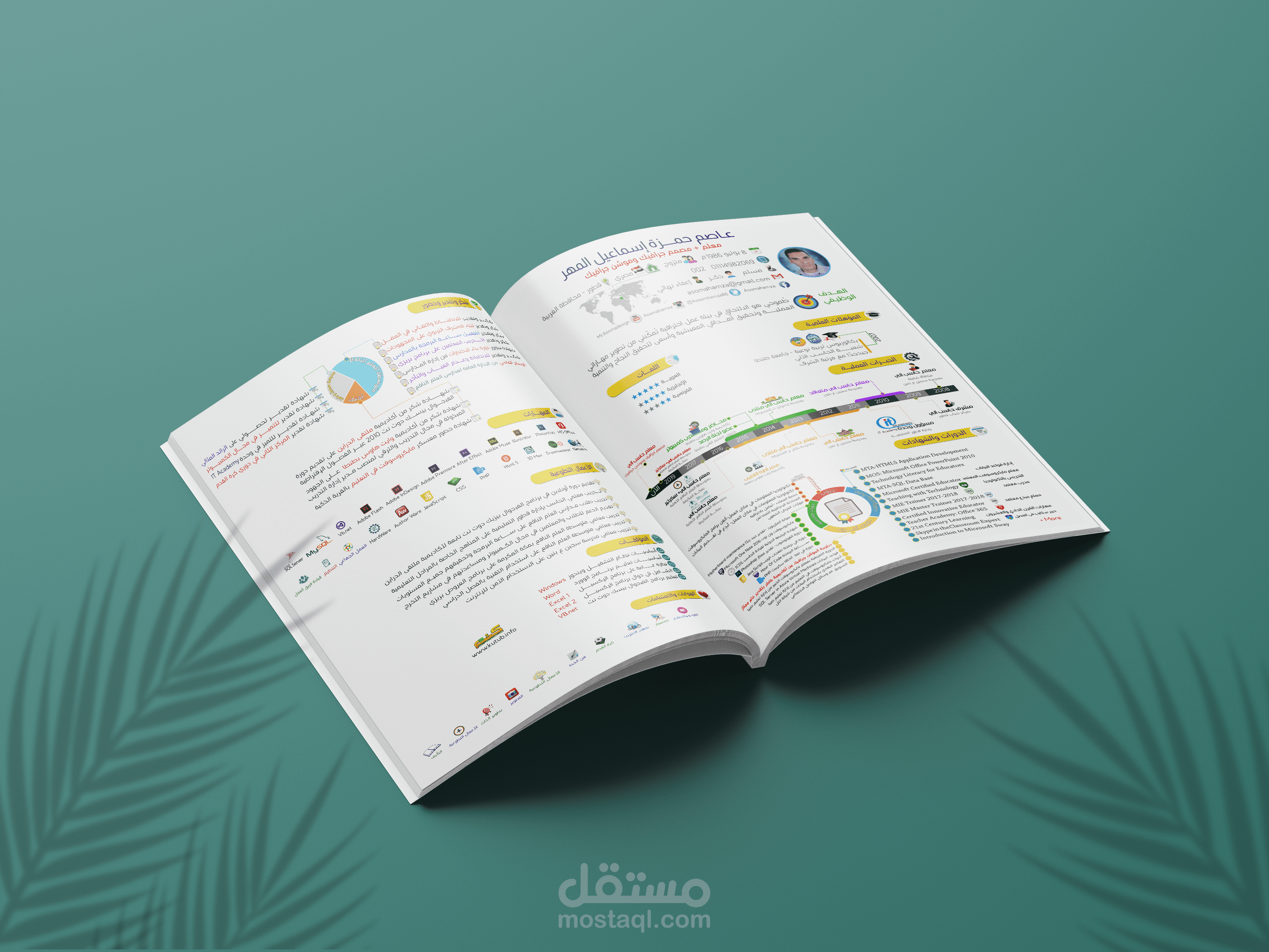 سيرة ذاتية احترافية