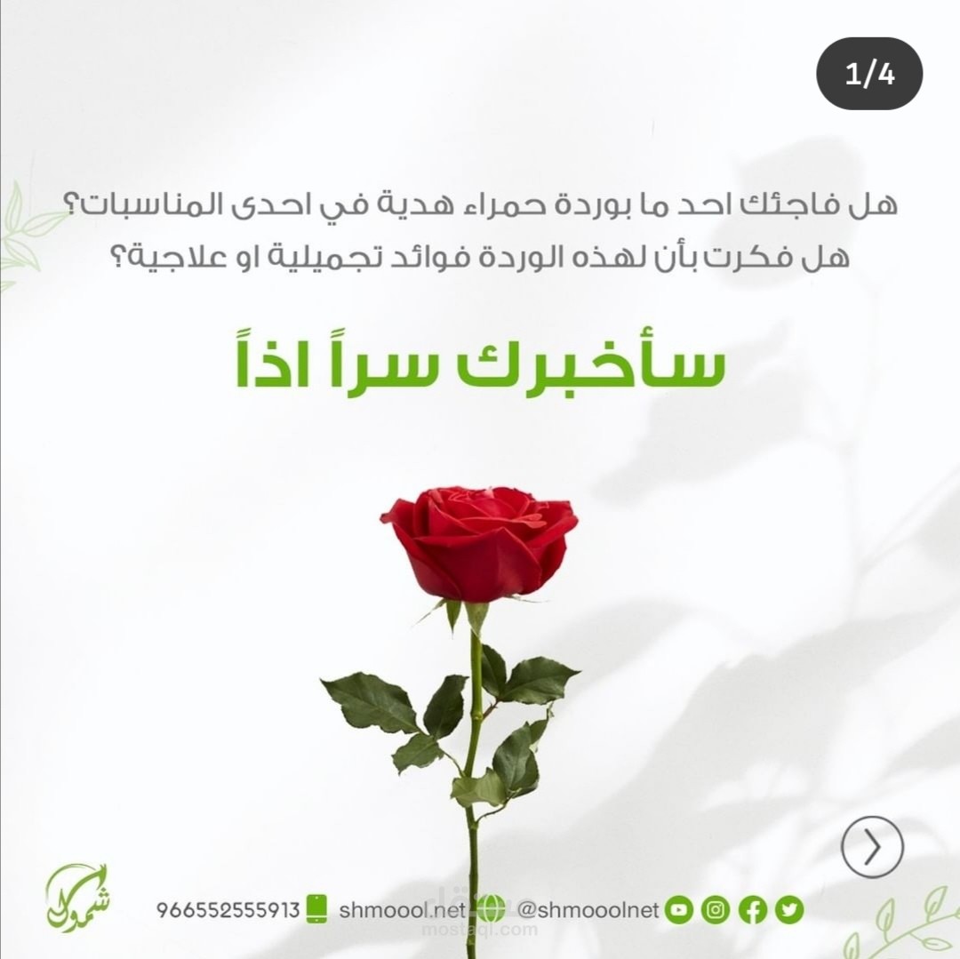 كتابة محتوى