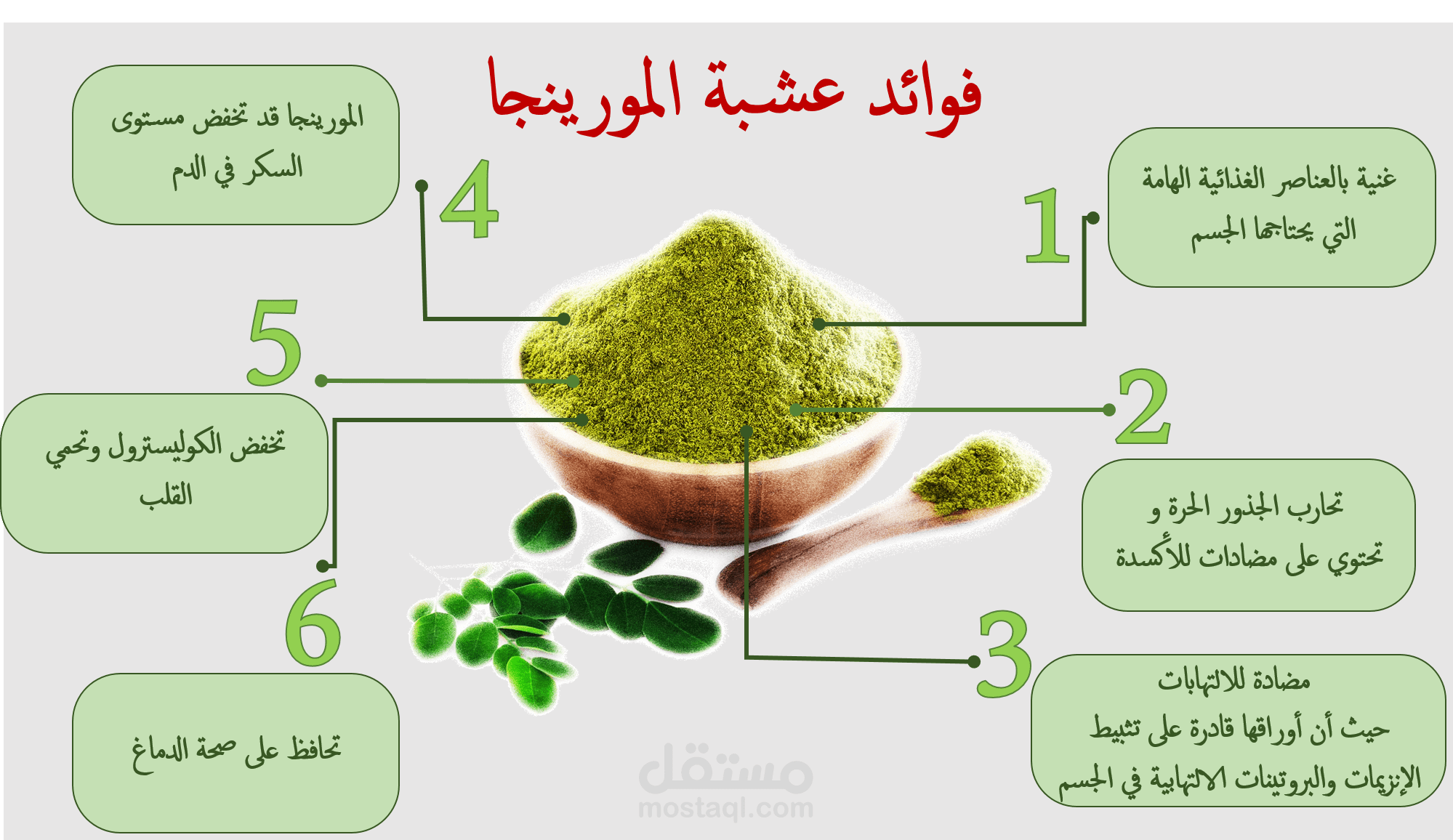 تصميم أنفوجرافيك لفوائد عشبة المورينجا