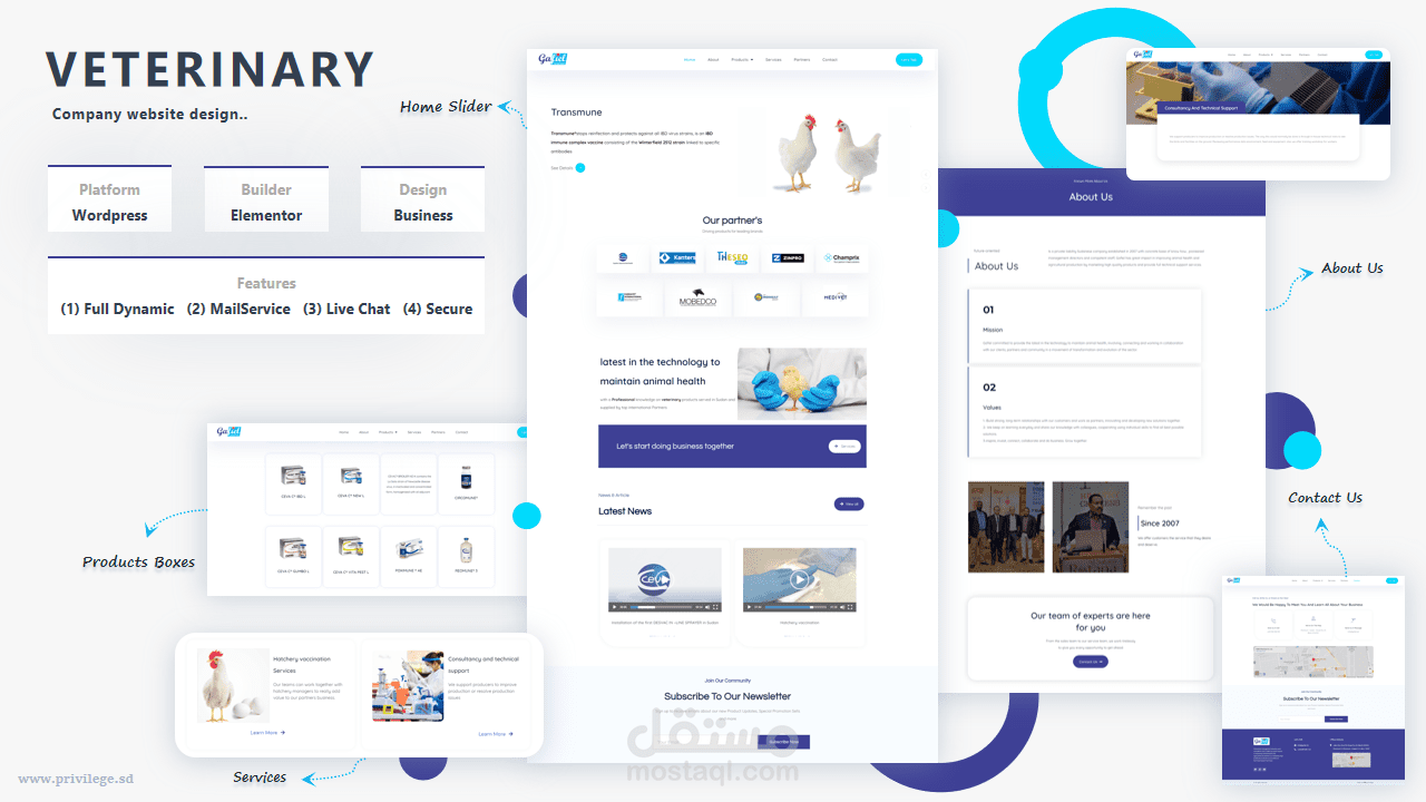 تصميم موقع لشركة بيطرية - Website design for veterinary company