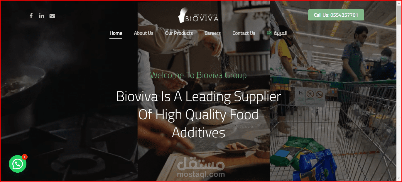 Multi Language Website For Bioviva-group - موقع متعدد اللغات لشركة بايوفيفا
