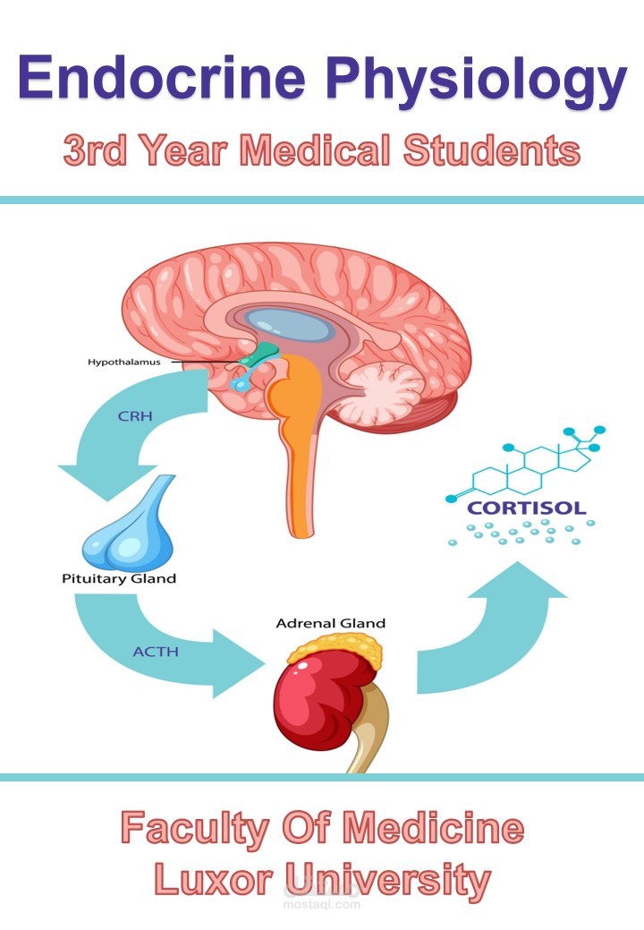 تصميم ابداعي لغلاف كتاب "Endocrine Physiology"