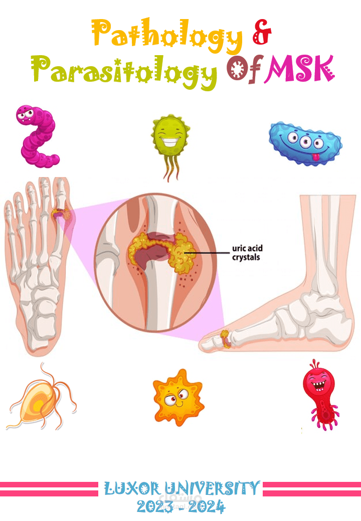 تصميم غلاف كتاب " Pathology & Parasitology of MSK"