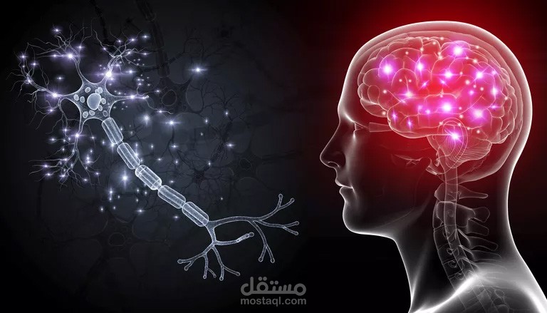 ترجمة ملخص ورقة علمية عن ارتباط استخدام الإنترنت المفرط  بتغيرات بنيويّة في نظام المكافأة في الدماغ لدى الإناث