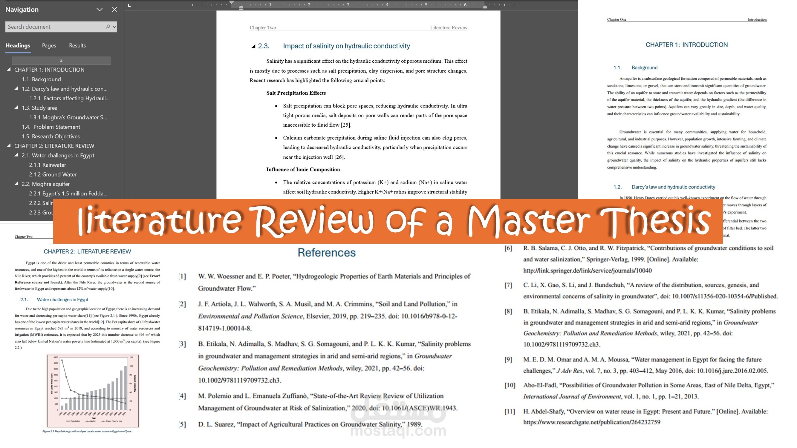 literature Review of a Master Thesis