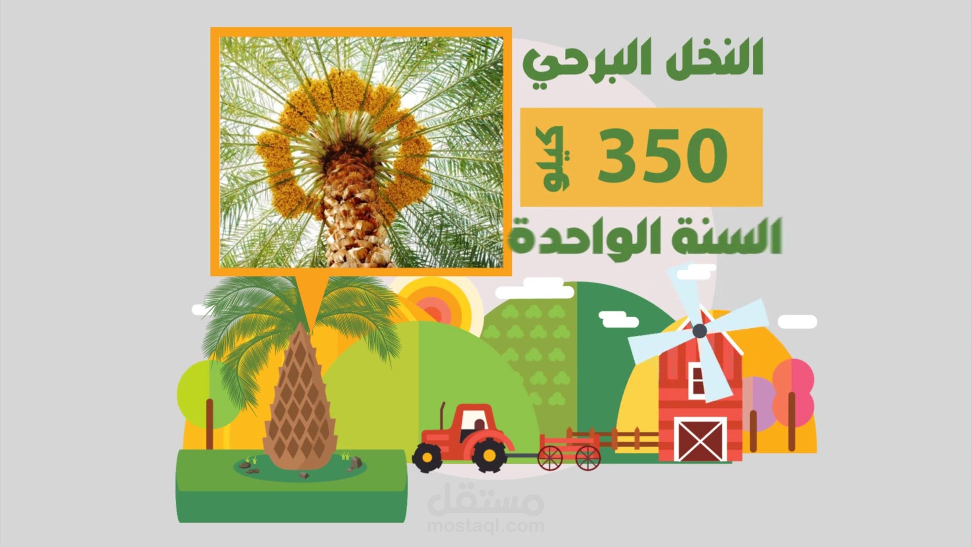 فيديو موشن جرافيك لموسسة النخيل