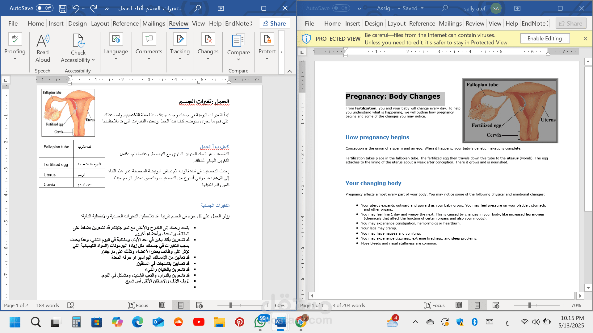 ترجمة طبية دقيقة  لملف عن الحمل.