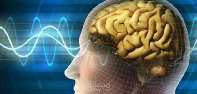بحث بعنوان علم النفس الفسيولوجي