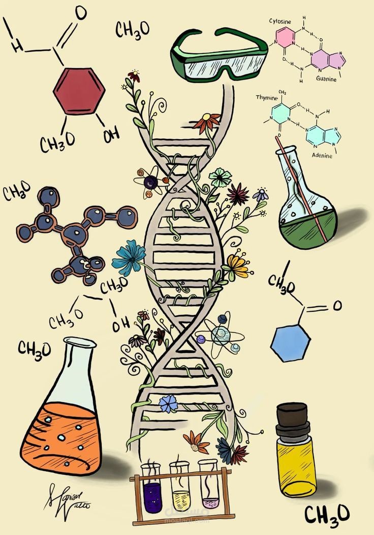 شرح مادة الـ Biochemistry لطلبة الصيدلة