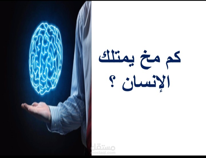 الذكاء الوجداني