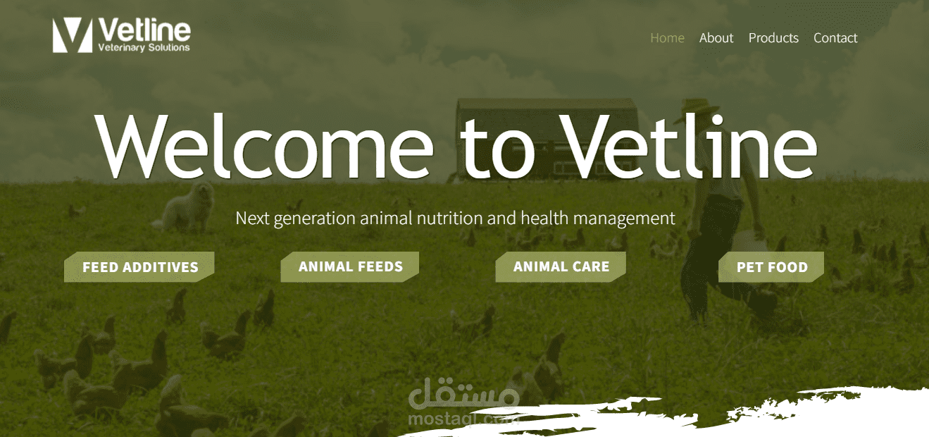 تصميم وتطوير موقع شركة Vetlines - تركيا