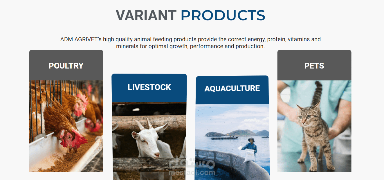 موقع شركة ADM Agrivet