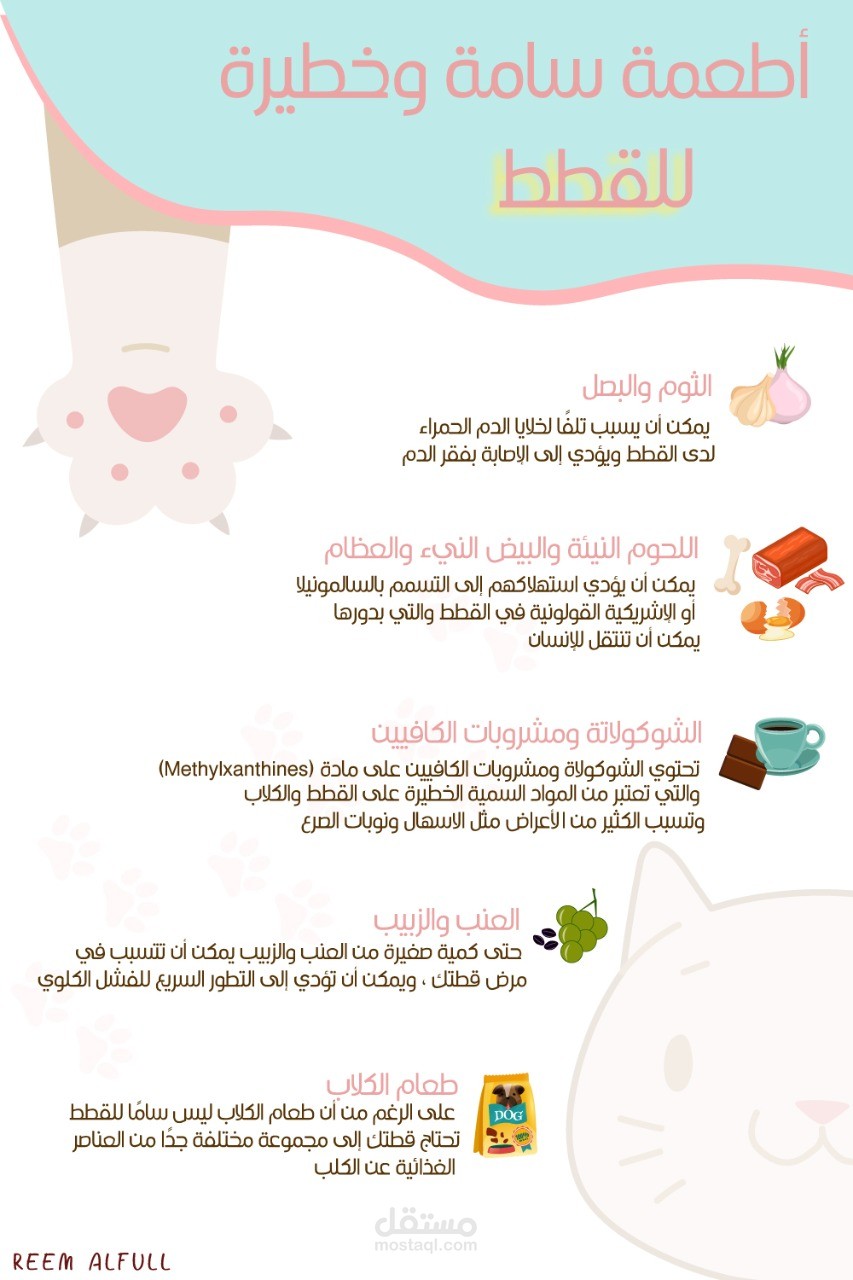 انفوجرافيك - Infographic