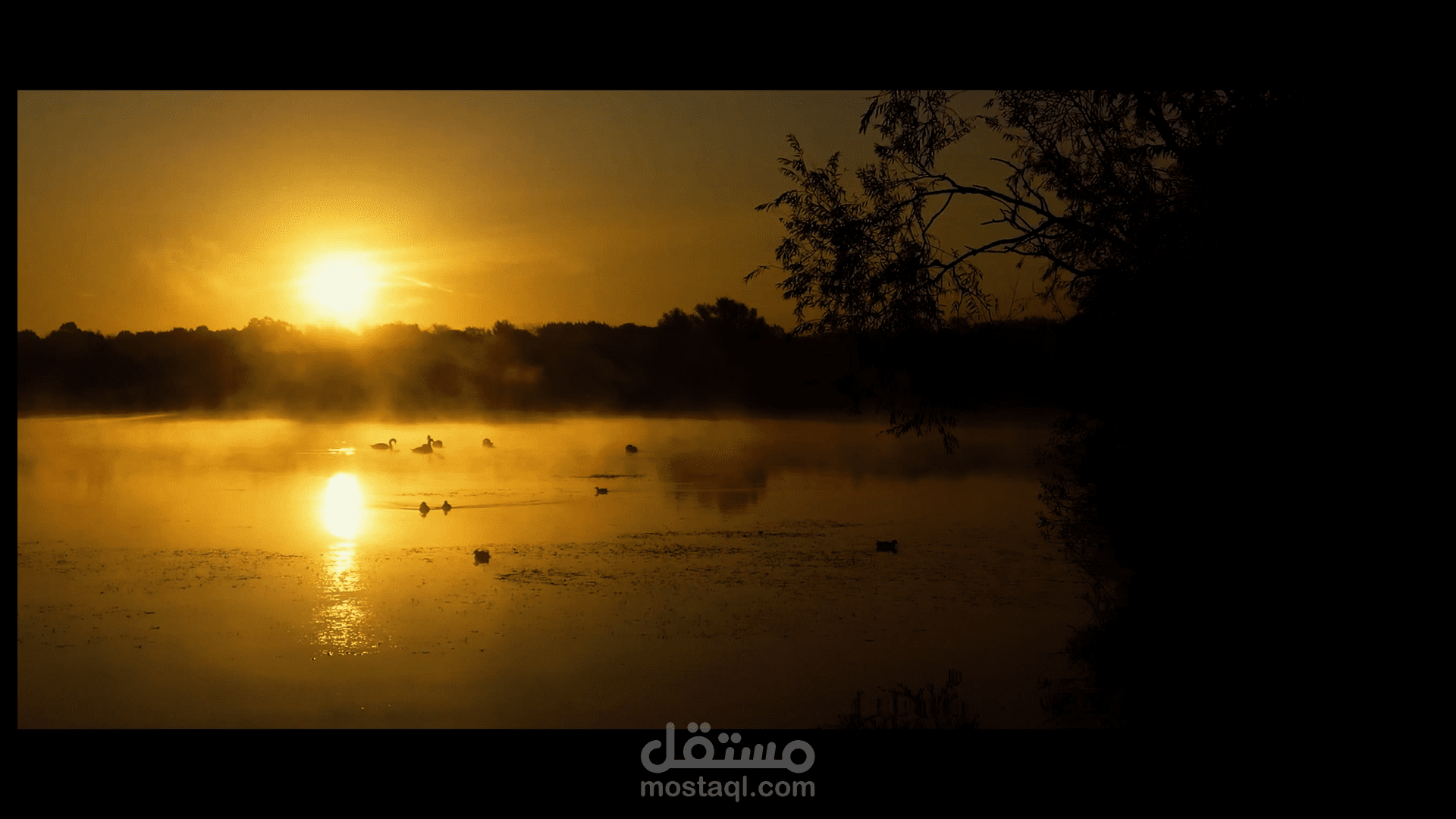 شعر مدح وفخر (لغة عربية فصحى)
