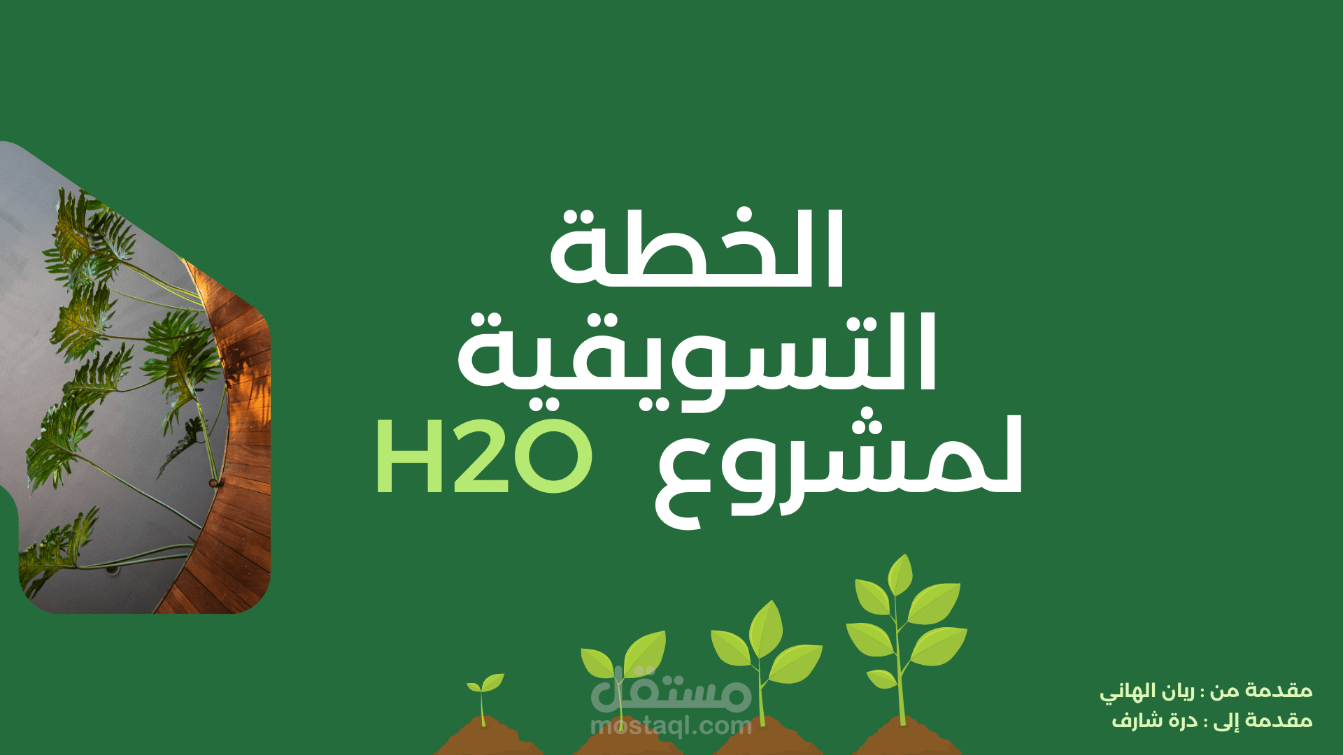 خطة تسويقية