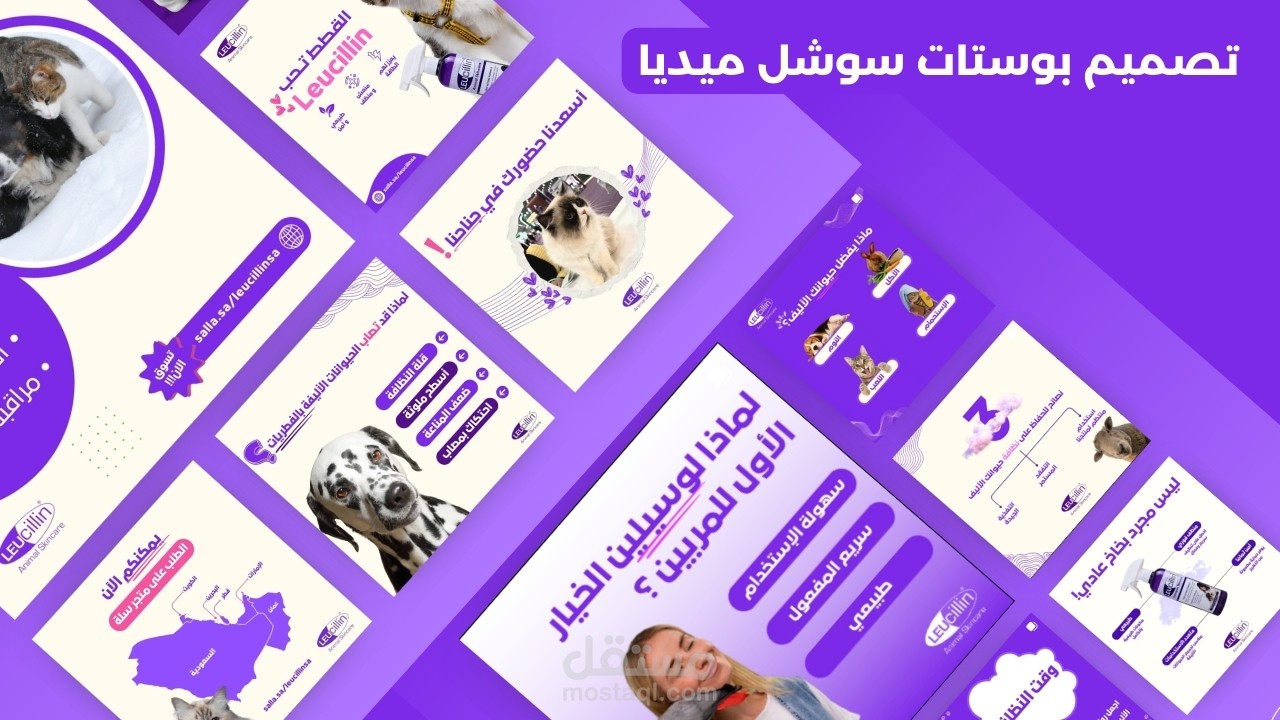 تصميم بوستات سوشل ميديا