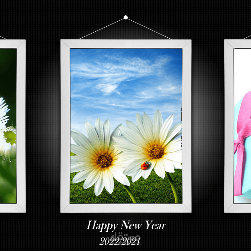 (1)new design