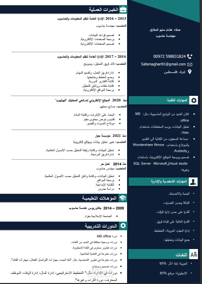 السيرة الذاتية