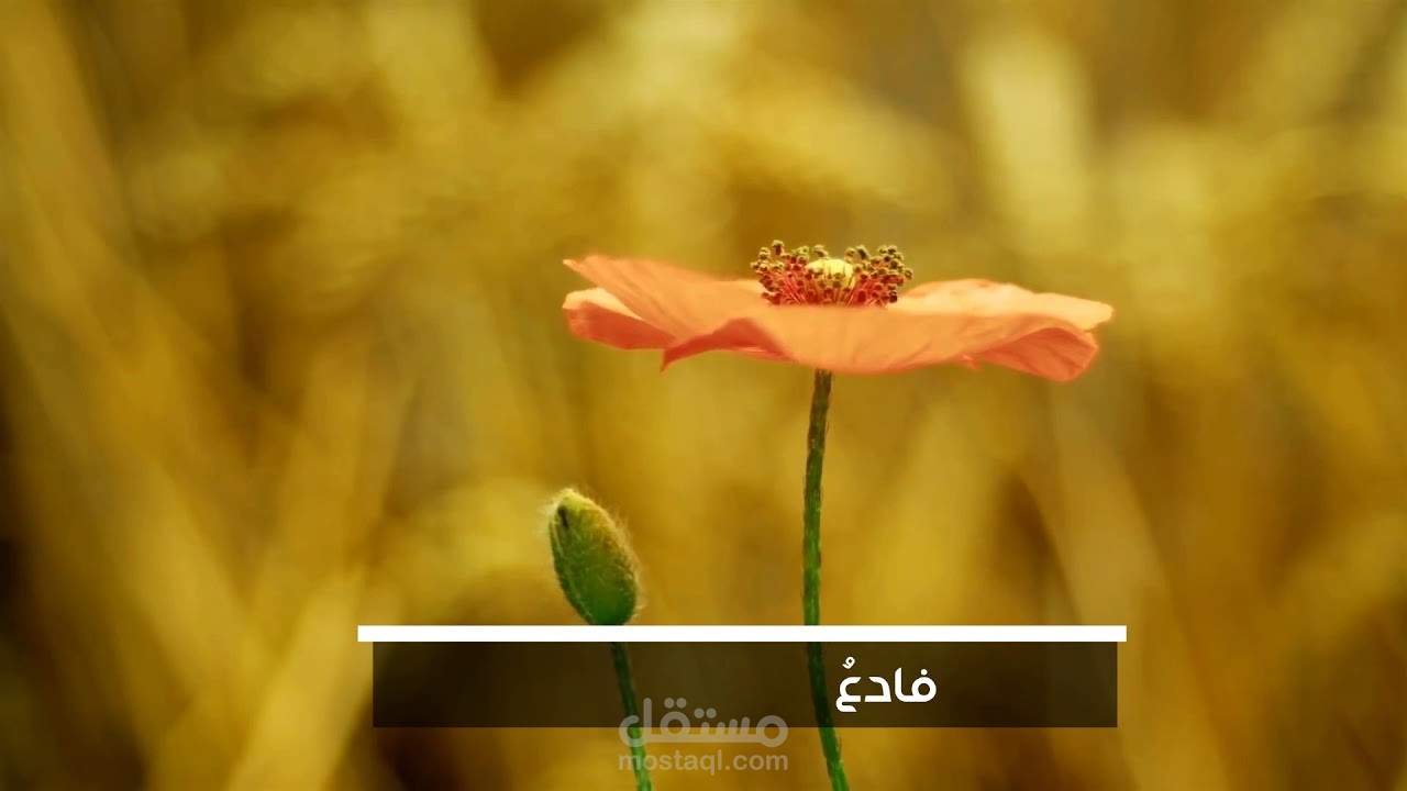 أنشودة إجعل صدقاتك برهاناً