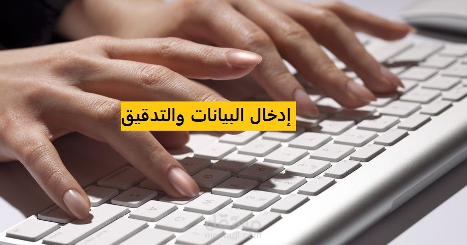 ادخال بيانات وتدقيق ملفات