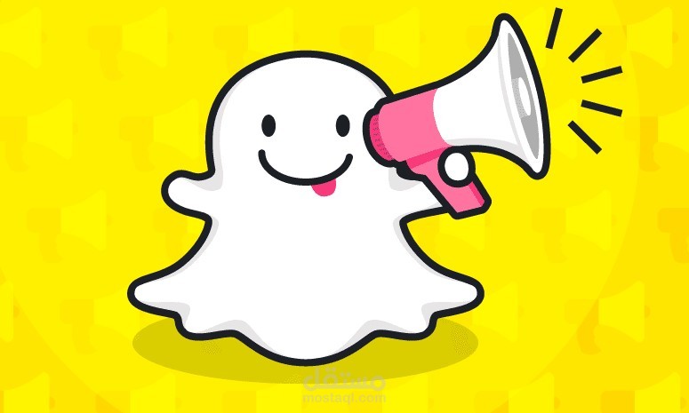 SnapChat ADS Results