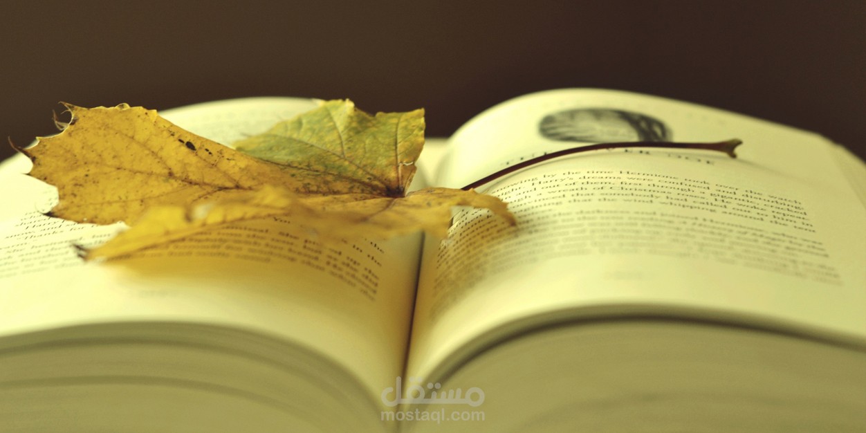 كتابة قصص وروايات