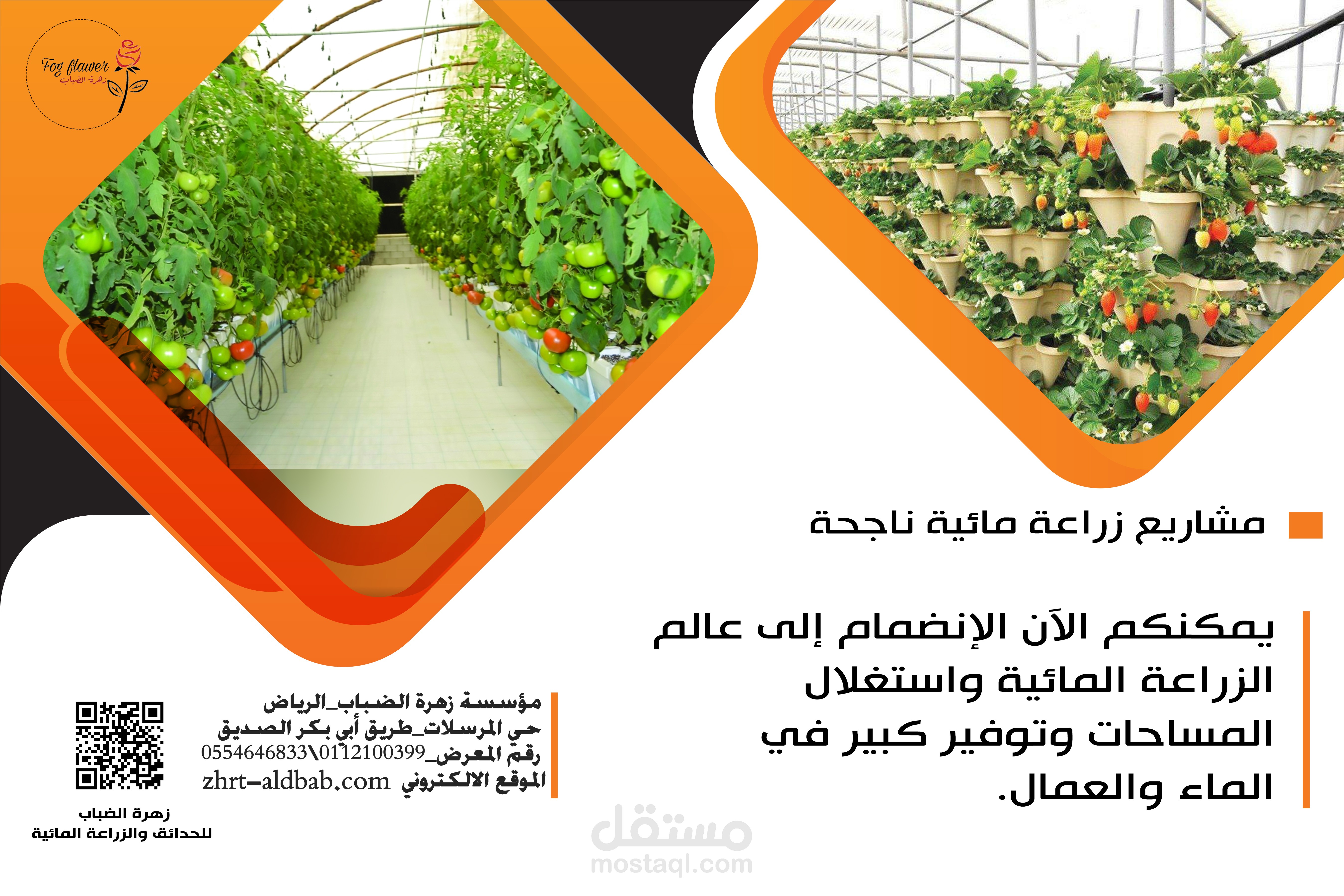 تصميم بوستر  الزراعة المائية