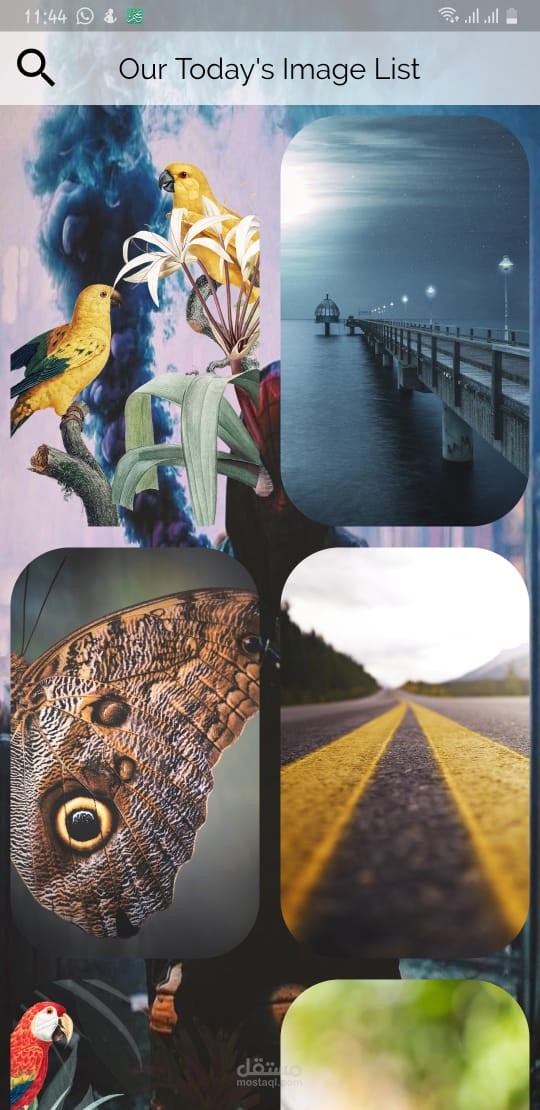 Wallpaper Searcher