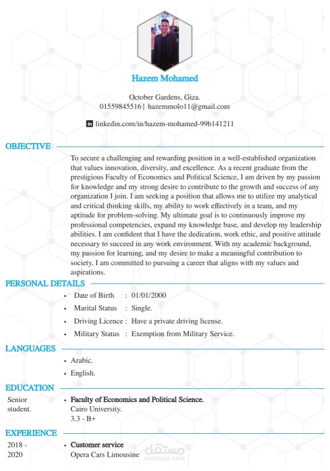 كتابة السيرة الذاتية باحترافية كبيرة ، بالعربية او غيرها من اللغات المختلفة